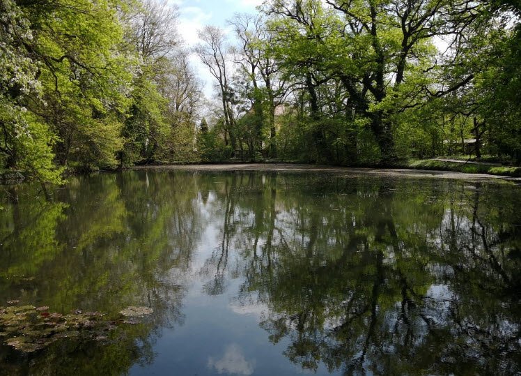 Sárvár Arboretum, Sárvár, Hungary, Hungary